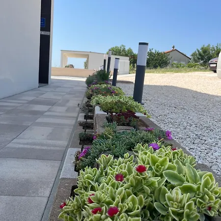Vanda וילה *